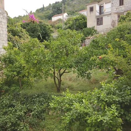 Rooms By The Sea Vis - 3034 Gostinjska kuća 3*